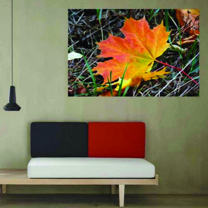Πίνακας σε καμβά με Τοπία Φθινοπωρινό φύλλο